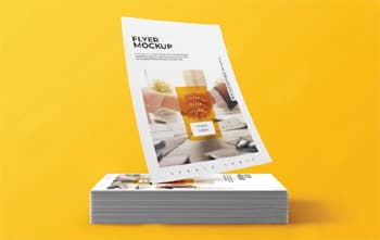 Pamphlets & Posters sample